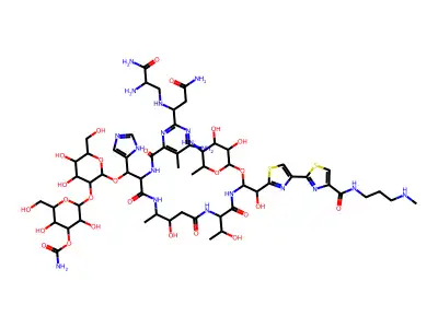 Tallysomycin S11b copper complex structure
