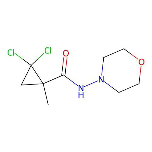 2,2-dichloro-1-methyl-N-(morpholin-4-yl)cyclopropanecarboxamide structure