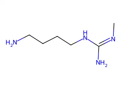 N-(4-Aminobutyl)-N'-methylguanidine structure
