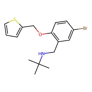 N-[[5-bromo-2-(thiophen-2-ylmethoxy)phenyl]methyl]-2-methylpropan-2-amine structure