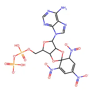 2',3' O-(2,4,6-trinitrophenyl)adenosine 5'-diphosphate structure