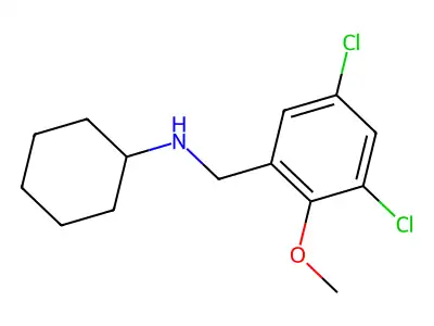 N-(3,5-dichloro-2-methoxybenzyl)cyclohexanamine structure