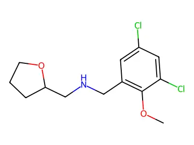 N-(3,5-dichloro-2-methoxybenzyl)-N-(tetrahydro-2-furanylmethyl)amine structure