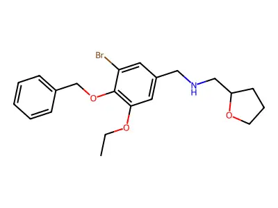 (4-Benzyloxy-3-bromo-5-ethoxy-benzyl)-(tetrahydro-furan-2-ylmethyl)-amine structure