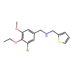 N-(3-bromo-4-ethoxy-5-methoxybenzyl)-N-(2-thienylmethyl)amine structure