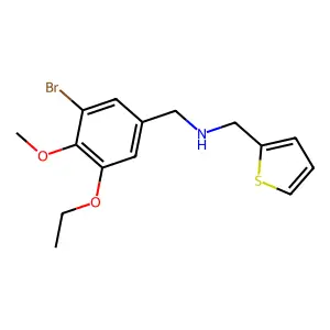 N-(3-bromo-5-ethoxy-4-methoxybenzyl)-N-(2-thienylmethyl)amine structure