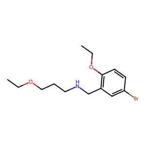 N-(5-bromo-2-ethoxybenzyl)-N-(3-ethoxypropyl)amine structure