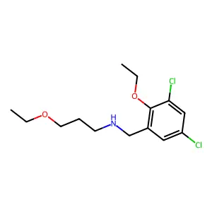 N-(3,5-dichloro-2-ethoxybenzyl)-3-ethoxypropan-1-amine structure