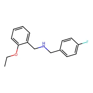 N-(2-ethoxybenzyl)-N-(4-fluorobenzyl)amine structure