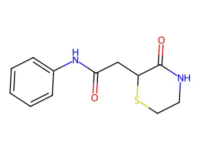 2-(3-oxothiomorpholin-2-yl)-N-phenylacetamide structure