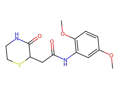 N-(2,5-dimethoxyphenyl)-2-(3-oxothiomorpholin-2-yl)acetamide structure