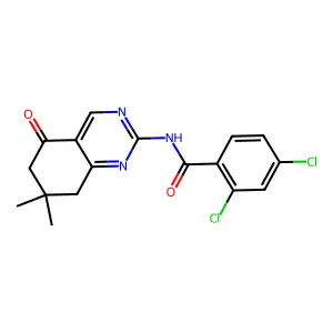 2,4-dichloro-N-(7,7-dimethyl-5-oxo-5,6,7,8-tetrahydroquinazolin-2-yl)benzamide structure