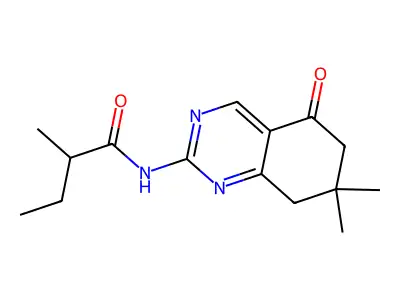 N-(7,7-dimethyl-5-oxo-5,6,7,8-tetrahydroquinazolin-2-yl)-2-methylbutanamide structure