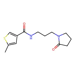 5-methyl-N-[3-(2-oxopyrrolidin-1-yl)propyl]thiophene-3-carboxamide structure