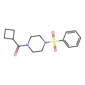[4-(Benzenesulfonyl)piperazin-1-yl]-cyclobutylmethanone structure