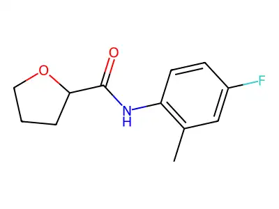 N-(4-fluoro-2-methylphenyl)tetrahydro-2-furancarboxamide structure