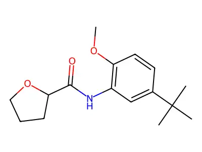 N-(5-tert-butyl-2-methoxyphenyl)oxolane-2-carboxamide structure