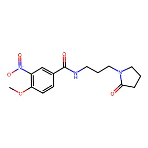 4-methoxy-3-nitro-N-[3-(2-oxopyrrolidin-1-yl)propyl]benzamide structure