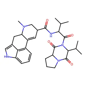Ergocornam structure