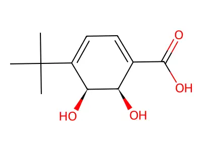 (5S,6R)-4-tert-butyl-5,6-dihydroxycyclohexa-1,3-diene-1-carboxylic acid structure