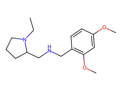 N-[(2,4-dimethoxyphenyl)methyl]-1-(1-ethylpyrrolidin-2-yl)methanamine structure