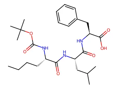 Boc-DL-Nle-DL-Leu-DL-Phe-OH structure