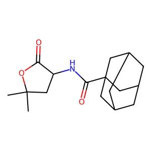 1-Adamantanecarboxamide, N-(5,5-dimethyl-2-oxotetrahydro-3-furyl)- structure