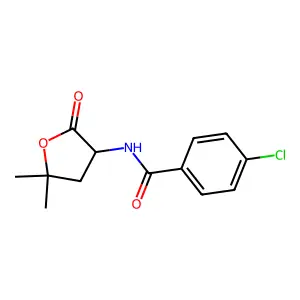 4-Chloro-N-(5,5-dimethyl-2-oxooxolan-3-yl)benzamide structure