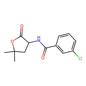 3-Chloro-N-(5,5-dimethyl-2-oxooxolan-3-yl)benzene-1-carboximidic acid structure