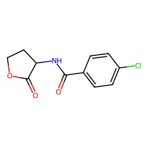 对氯-N-(2-氧代四氢-3-呋喃基)苯甲酰胺 structure
