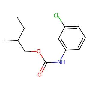 2-Methylbutyl (3-chlorophenyl)carbamate structure