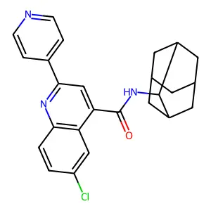 N-(2-adamantyl)-6-chloro-2-pyridin-4-ylquinoline-4-carboxamide structure