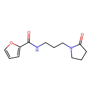 N-[3-(2-oxopyrrolidin-1-yl)propyl]furan-2-carboxamide structure