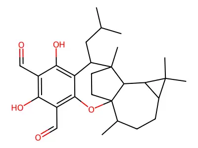 Euglobal V structure