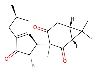 Riolozatrione structure