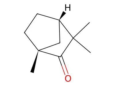 (-)-Fenchone structure
