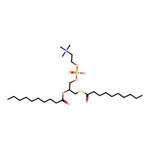 Acetamide, N-(1-methylhexyl)- structure