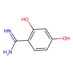 2,4-Dihydroxybenzamidine structure