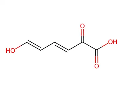 2-Hydroxymuconic semialdehyde structure