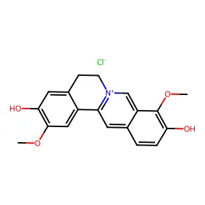 Dibenzo(a,g)quinolizinium, 5,6-dihydro-3,10-dihydroxy-2,9-dimethoxy-,chloride structure