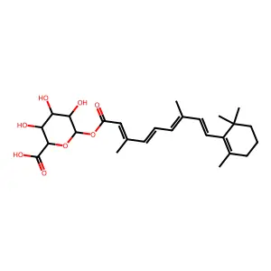 Glucuronide structure