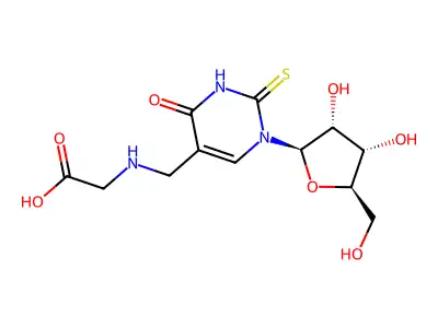 5-Carboxymethylaminomethyl-2-thiouridine structure
