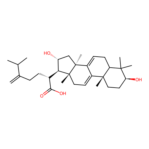 Dehydrotumulosic acid structure