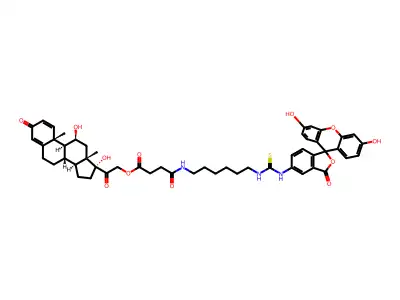 N-(prednisolone-21-succinylaminohexyl)-N'-fluoresceinyl-thiourea structure