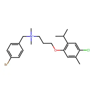 Halopenium structure