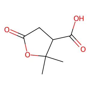 Terebic acid, (R)- structure