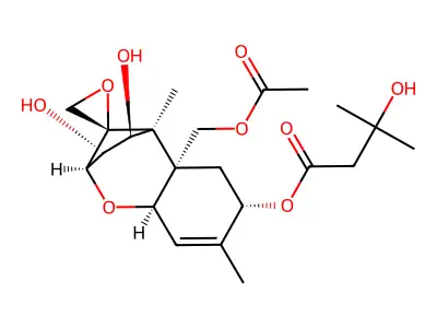 3'-Hydroxy HT-2 toxin structure