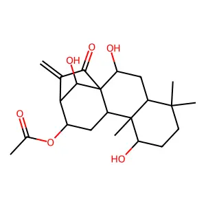 Excisanin B structure