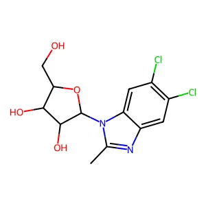 T 525636 structure