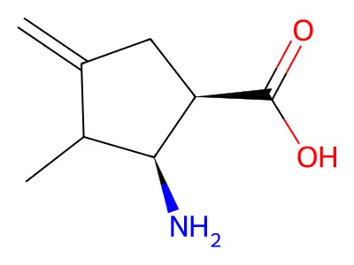 (1R,2S)-2-amino-3-methyl-4-methylidenecyclopentane-1-carboxylic acid structure